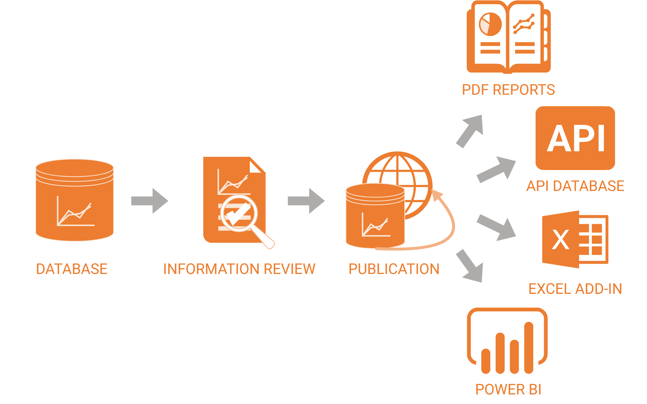 The publication flow: reviewed database content is published and delivered through report, API, and spreadsheet or BI formats.